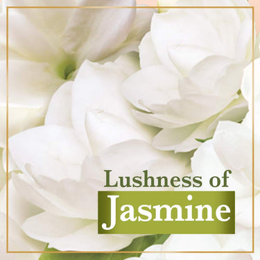 Lux Jasmine & Vitamin E Beauty Soap Bar For Glowing Skin Combo Offer Pack 8x150 g
